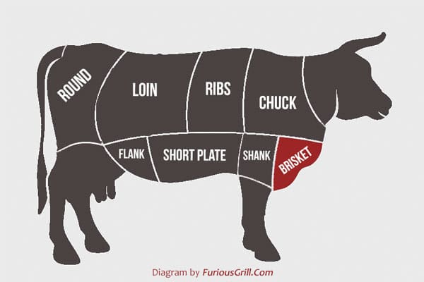 Brisket-Location-Full-Graph