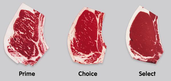 How to Grill a Porterhouse Steak - Everything you Need to Know